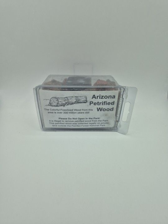 Arizona Petrified Wood 200 Million Years Old! Petrified Forest Natural Park