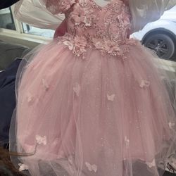 Big Pink Birthday Fairy Dress - 1 year old 