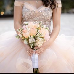 Quinceañera dress Vestido Champagne color Or Wedding Ballgown