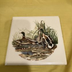 Ceramic Tile Featuring Mallard  Ducks 
