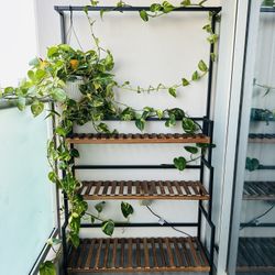 Modern 3-Tier Wooden Plant Stand Shelves - Wood & Metal Frame