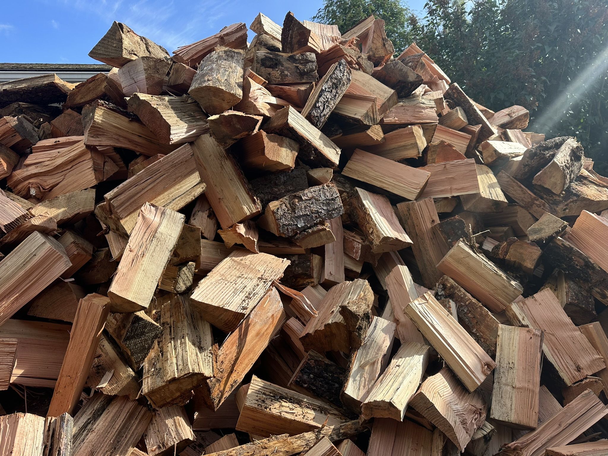 Firewood
