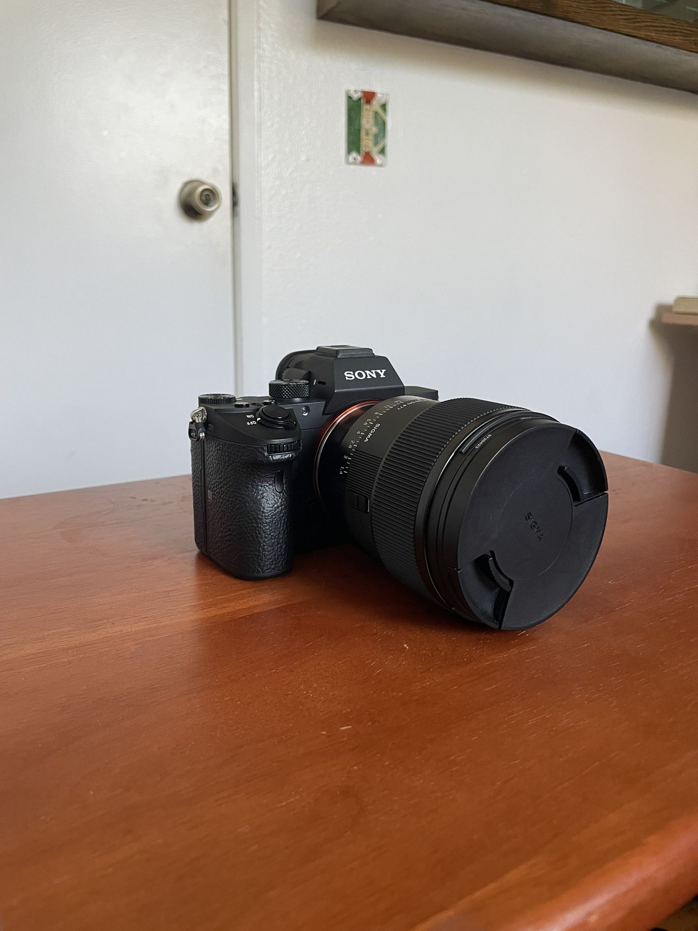 Sony A7iii with SIGMA 85mm F1.4 DG DN | Art lens