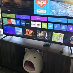 65" LG TV + TV Stand