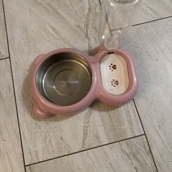 Dog Food And Water Bowl
