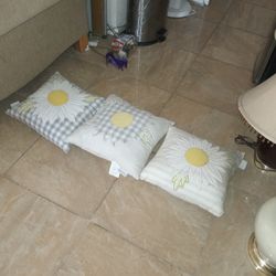 Throw Pillows 3 for 7