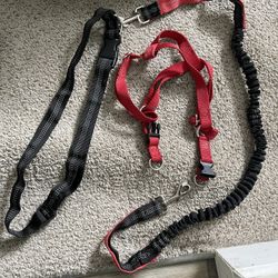 Leash & Walking /running Belt 