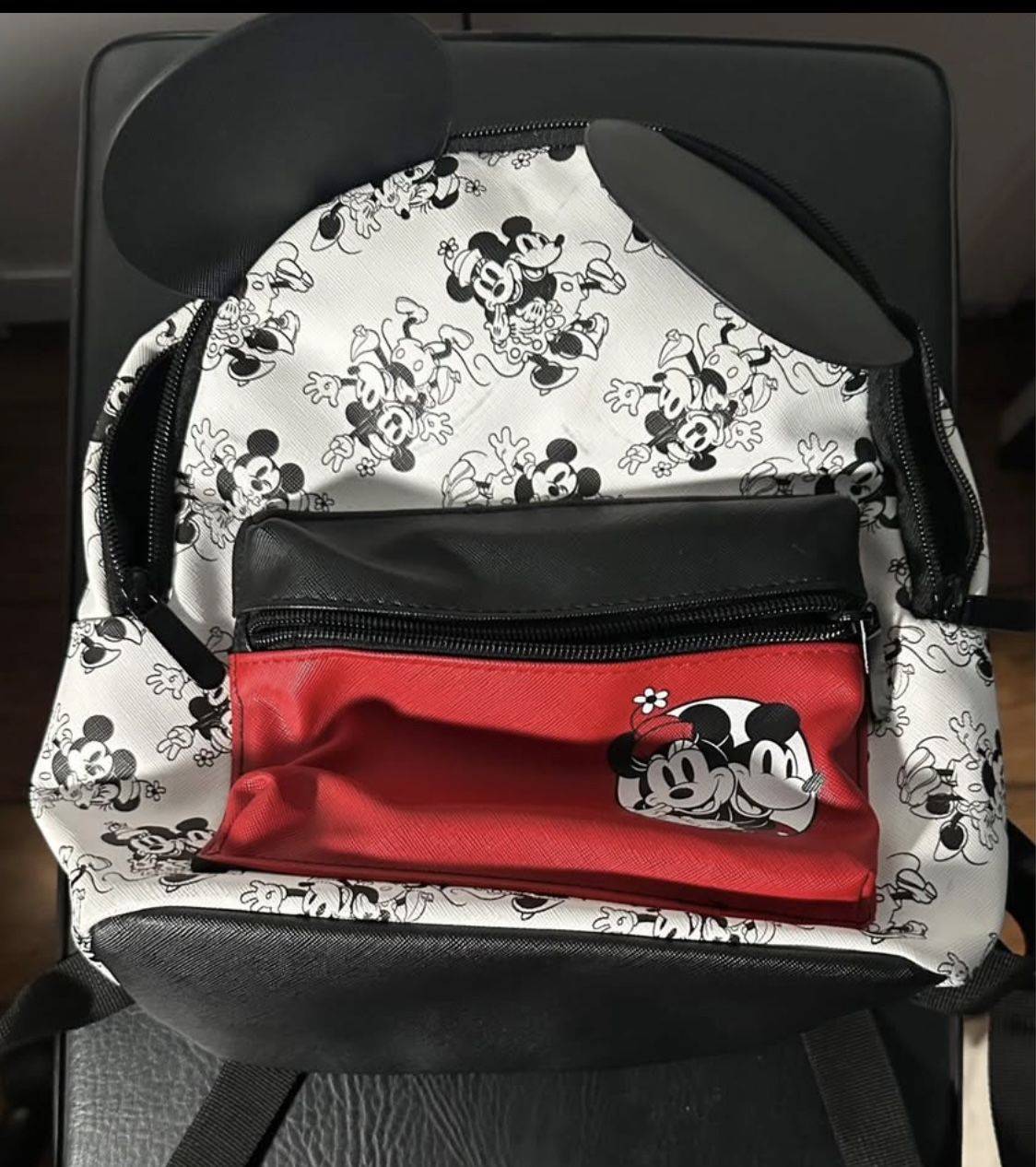 Mickie and Minnie Bag Pack