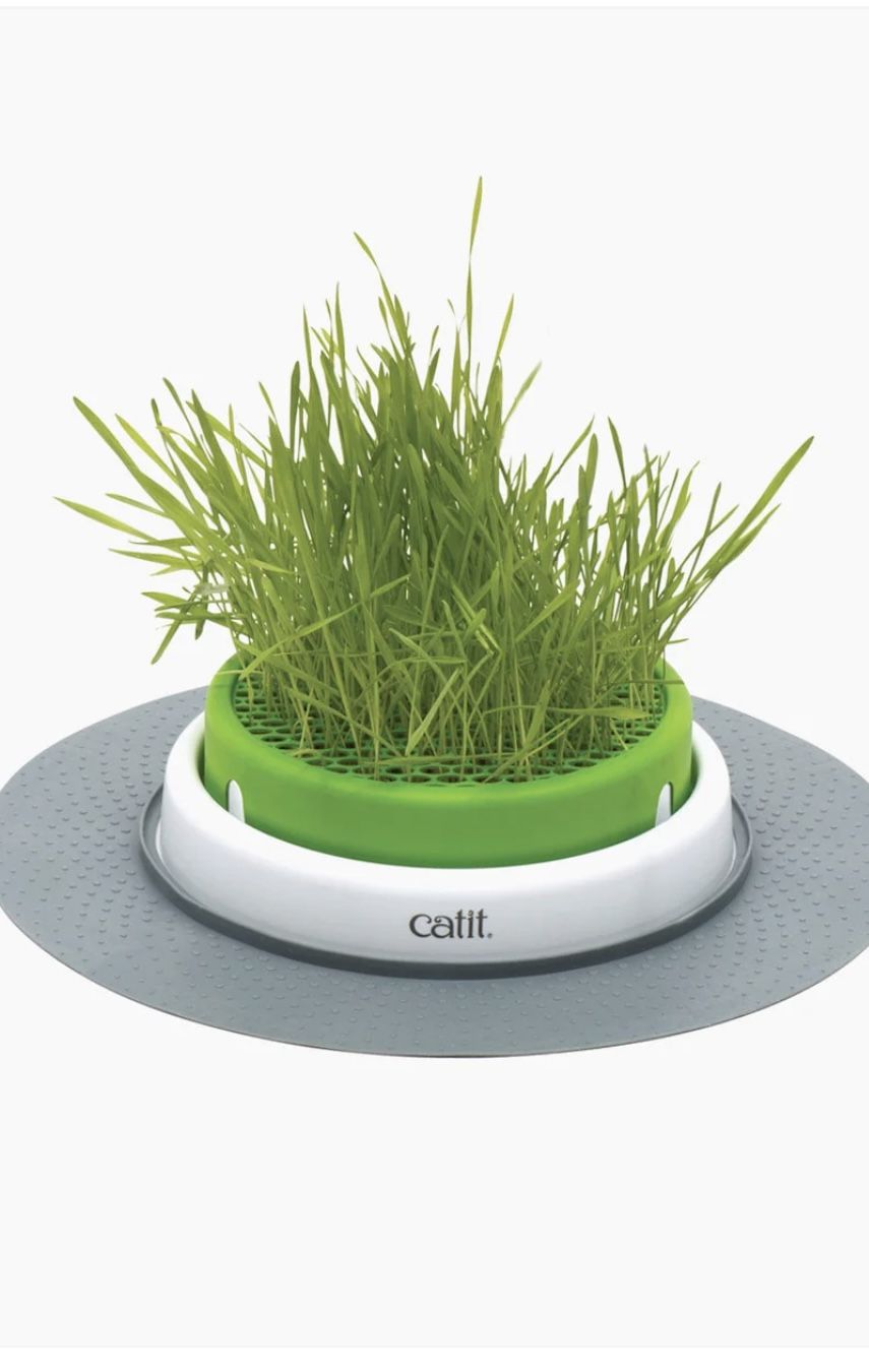 Catit Senses Grass Planter