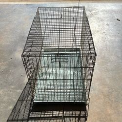 Animal Transport Cage