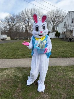 Easter Bunny Visit Or Yard Egging
