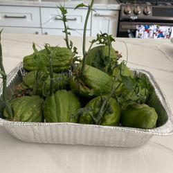 Chayotes Sprouts $5 Each