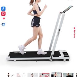 DEER RUN TREADMILL 