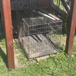 Dog Crate 