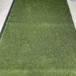 Pet Turf 9x5 Feet 