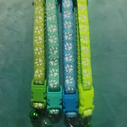 Small Dog Collar 