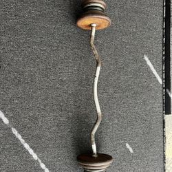 Curl Bar Pig Iron Weights 