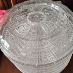 Food Dehydrator 