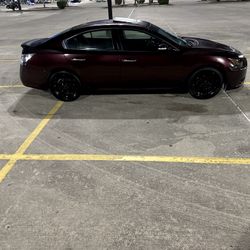2014 Nissan Maxima 