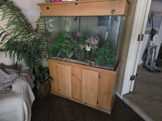 Fish Tank