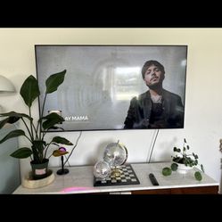 65 Inch Tv