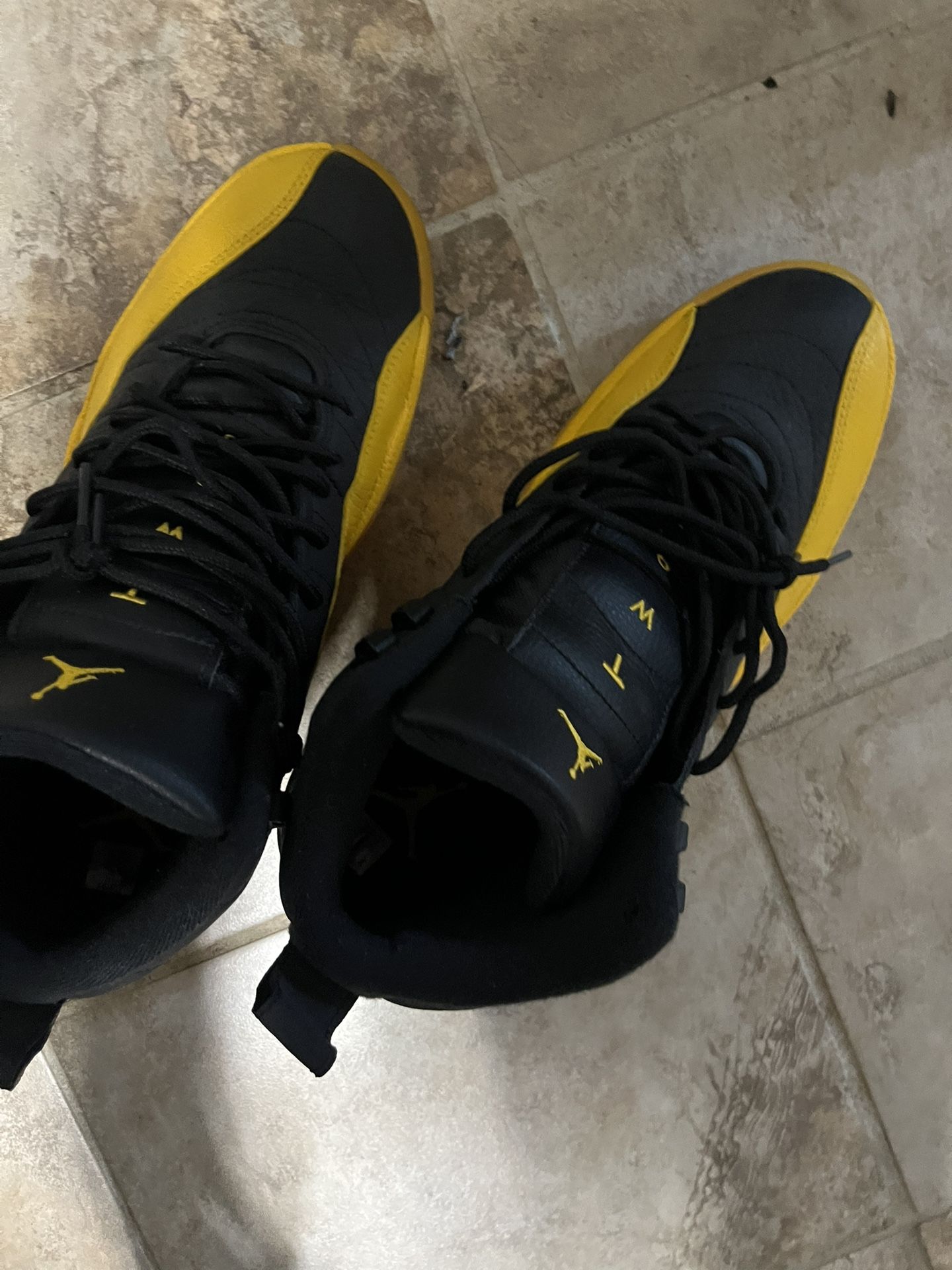 Jordan 12 