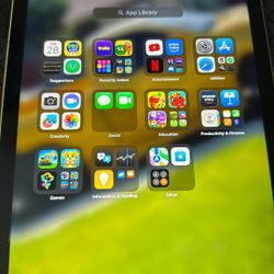 Apple Ipad