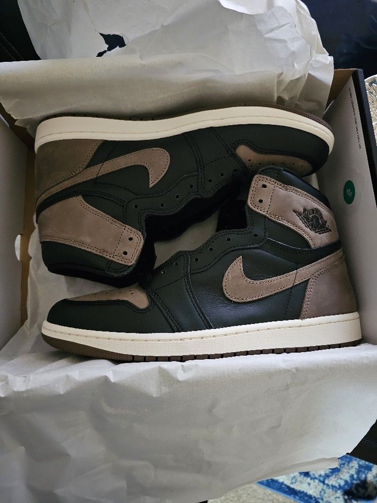 Jordan 1 Size 11 $250