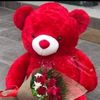Rasha