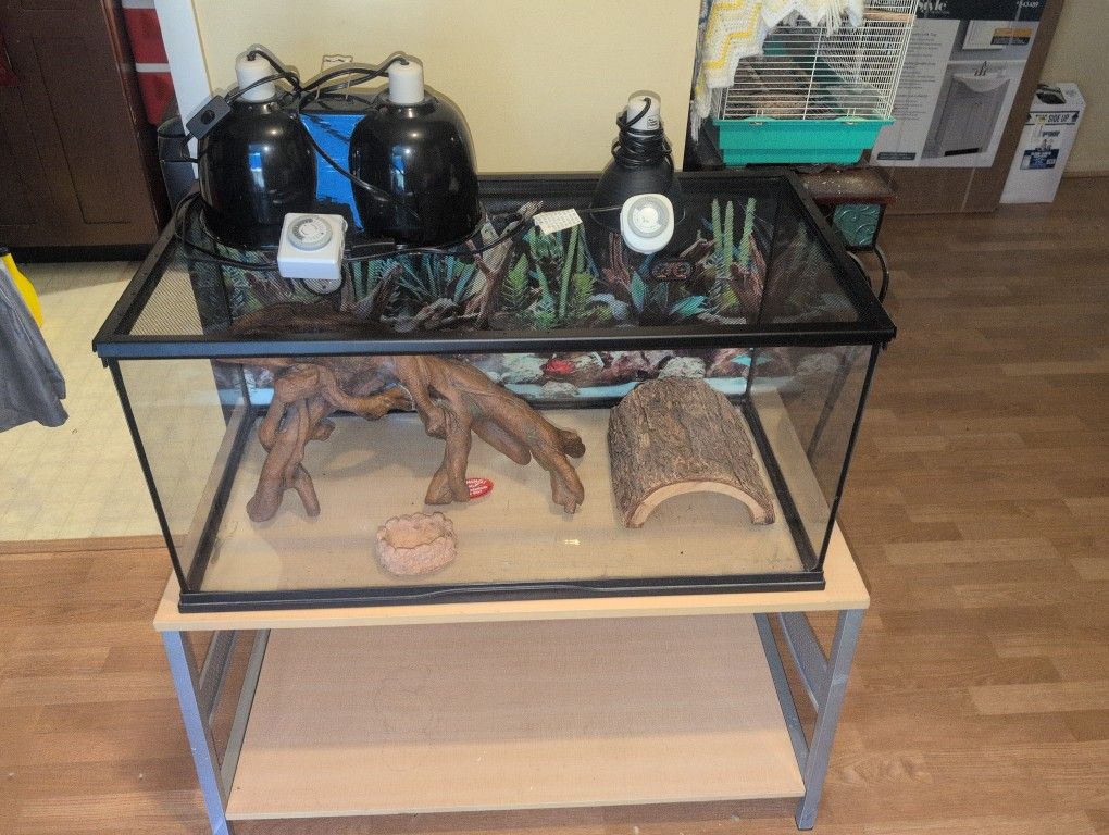 Lizard Terrarium And Stand