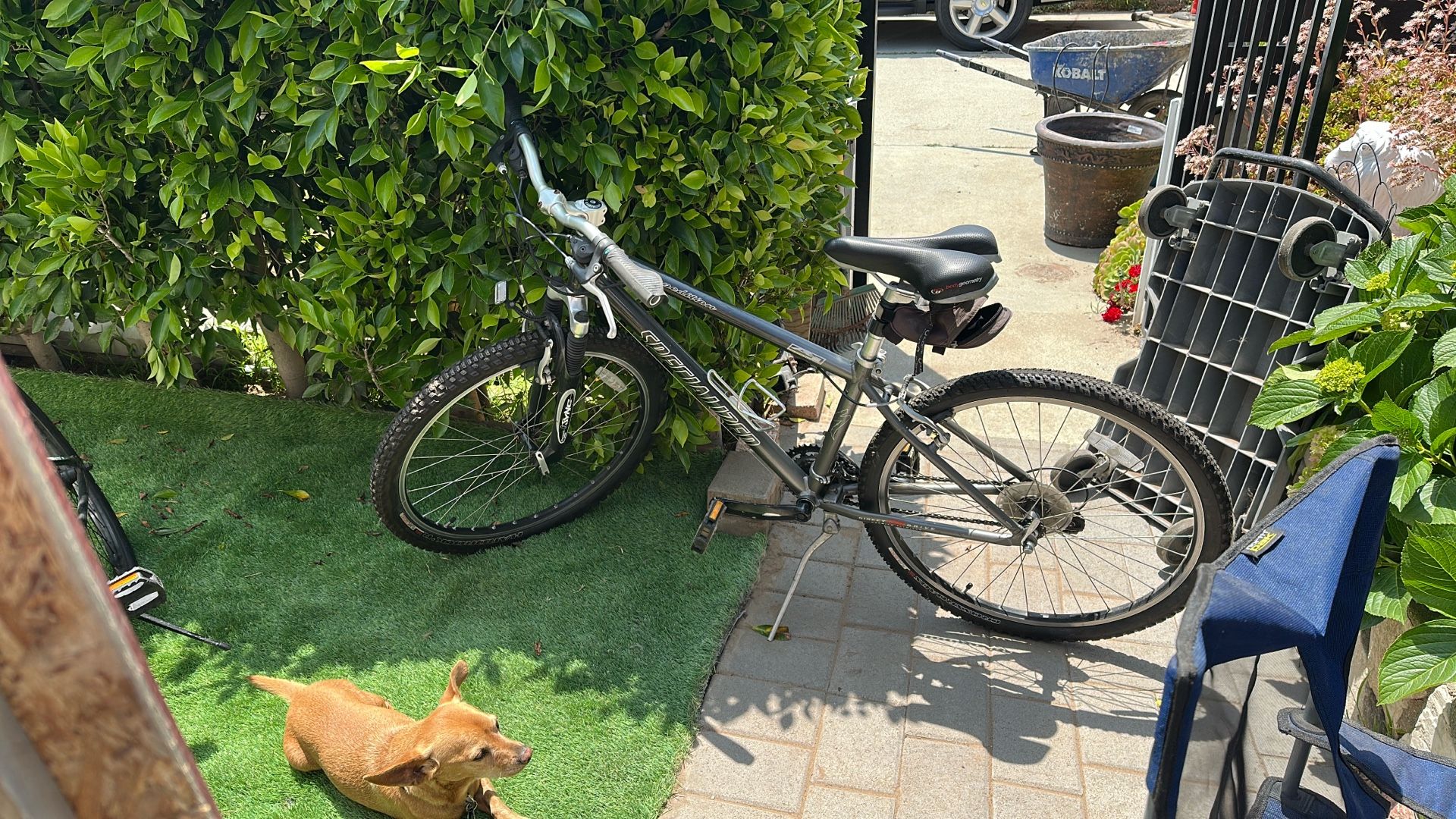 Specialized Expedition Elite Bike