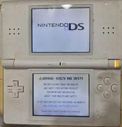 White DS with charger