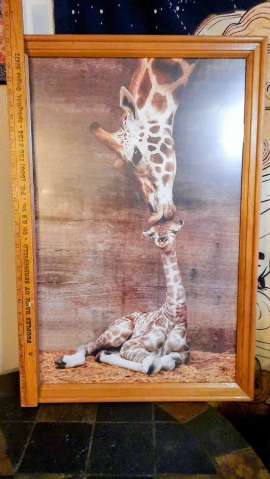 Wooden Framed With Glass Giraffe π¦ Momma Kisses Baby