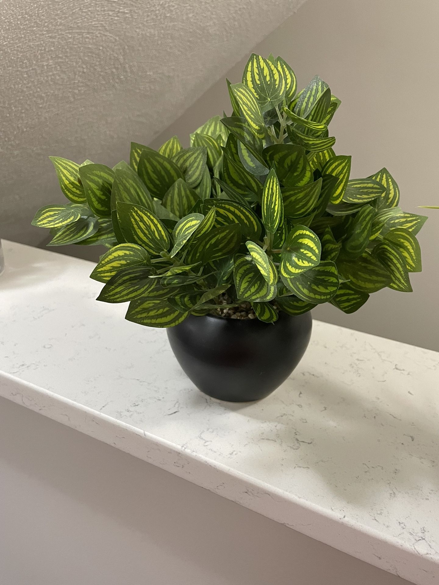 Set Of 3 Artificial Plants