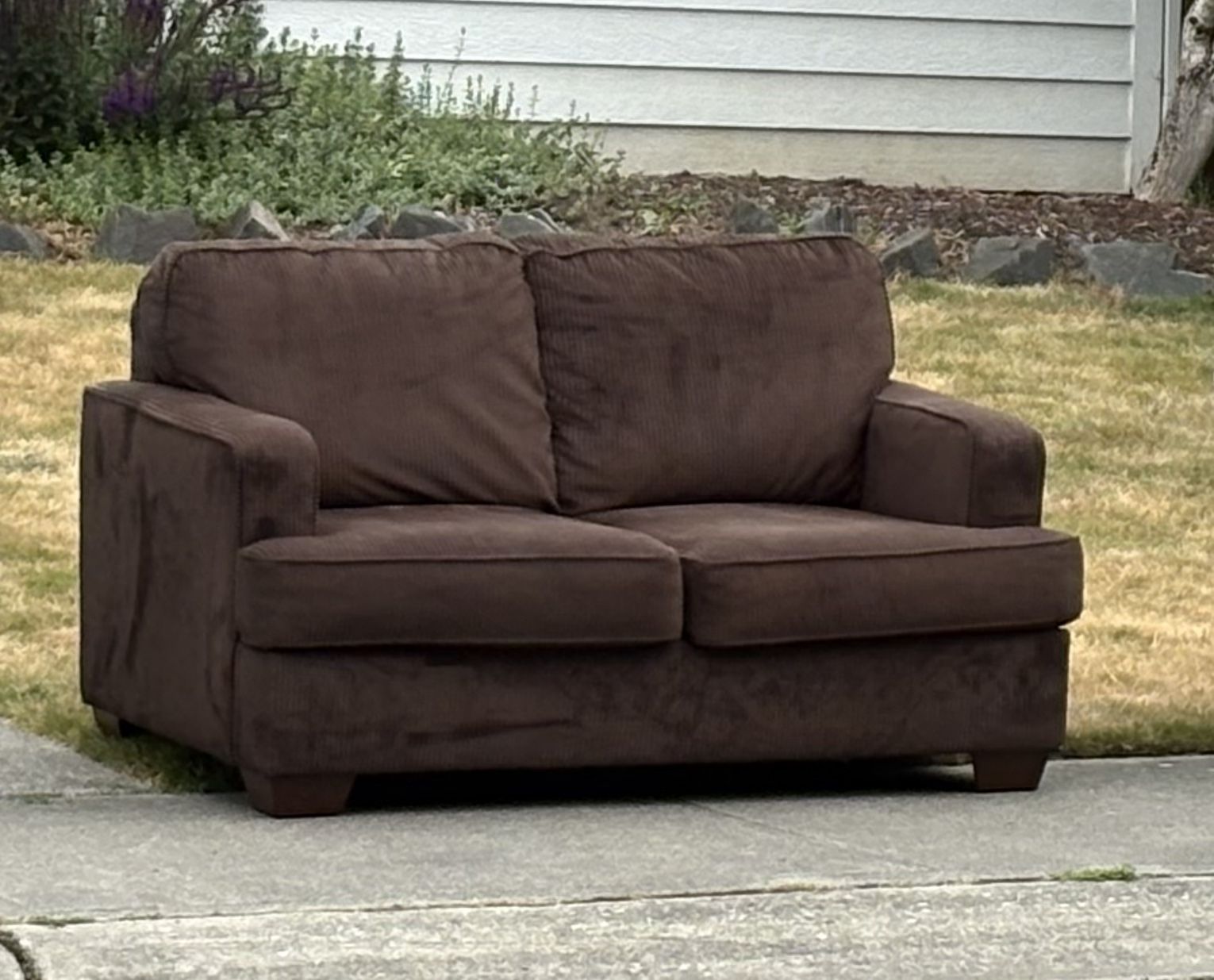 Loveseat Couch