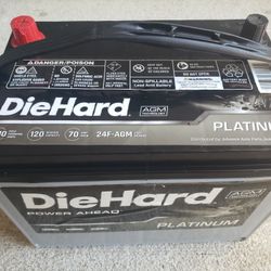 Die Hard Platinum AGM Car Truck Battery Group 24F 