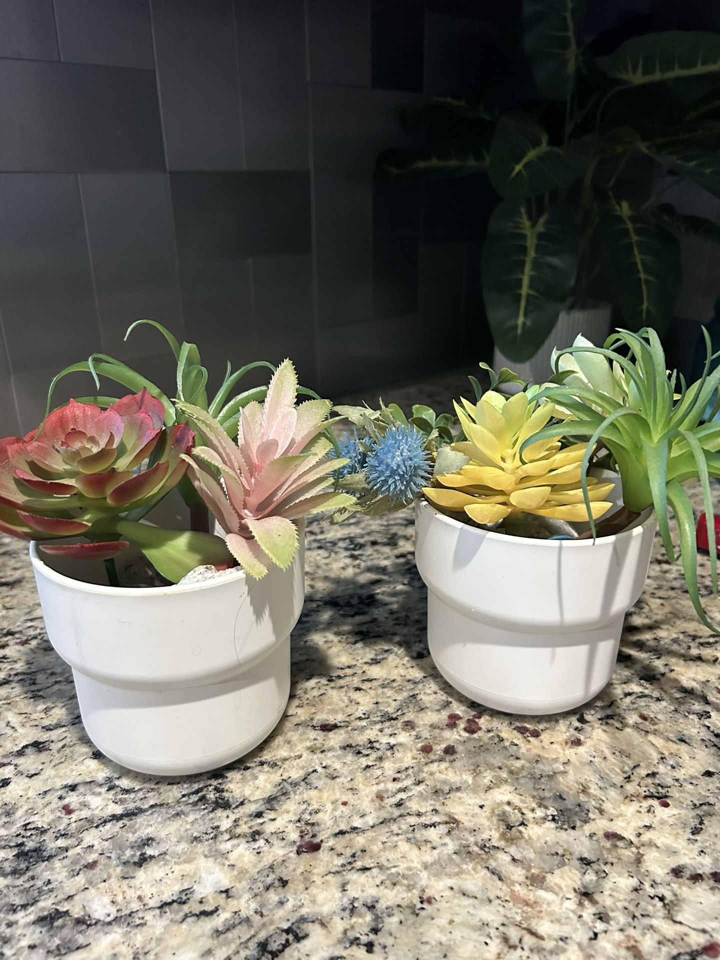 4” Plastic Pots With Plants