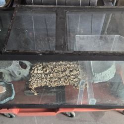 Terrarium With Heat Lamp & Accessories 