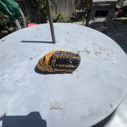 Franklin Baseball Mitt