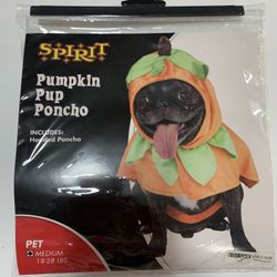 Pumpkin Dog Costume