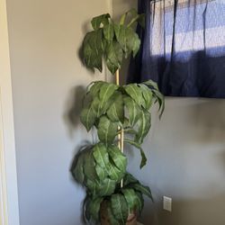 Faux 7ft Tree 