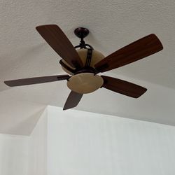 Living Room ceiling fans 