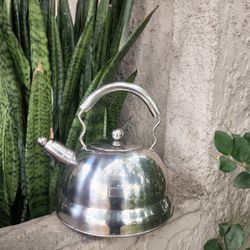 Tea Kettle, "Gnali & Zani"