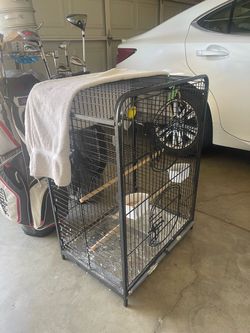 Bird and birdcage