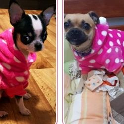 Soft Pajamas Polka Dot Coat Dog Warm Hoodie Clothes