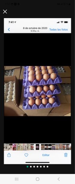 Huevos por cajas de 100 huebos jumbos blancos o cafes