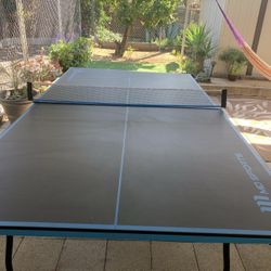 Ping Pong Table 
