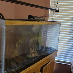 55gal 