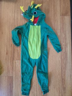 Little dragon costume