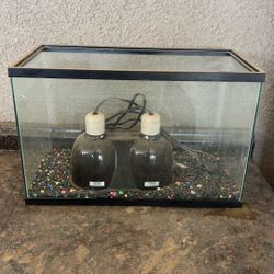 Fish Tank 